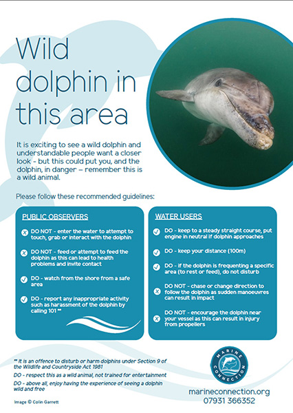 Conduct Regarding Dolphins in Portland Harbour